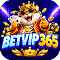 avatar for betvip365