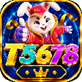 avatar for t5678