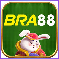 avatar for bra88