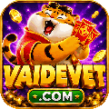 avatar for vaidevet