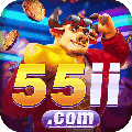 avatar for s55ii