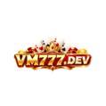 avatar for vm777dev