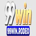 avatar for 99winrodeo1