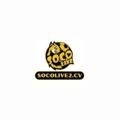 avatar for socolive2cv11