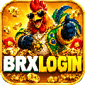 avatar for brxlogin