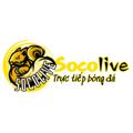 avatar for Socolivetructiep2