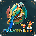 avatar for macawwin