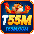avatar for t55m