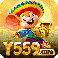 avatar for y559