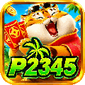 avatar for p2345