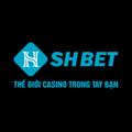 avatar for shbetorg