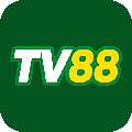 avatar for tv88