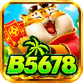 avatar for b5678