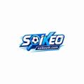 avatar for soikeottcom