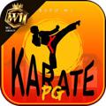 avatar for karatepg