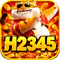 avatar for h2345