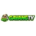avatar for gavangtvltd