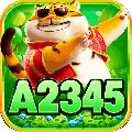 avatar for a2345