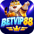 avatar for betvip88