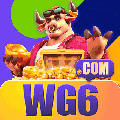 avatar for wg6