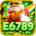 avatar for e6789
