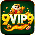 avatar for h9vip9