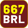 avatar for x667brl