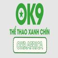 avatar for ok9africa