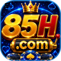 avatar for m85h
