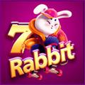 avatar for z7rabbit