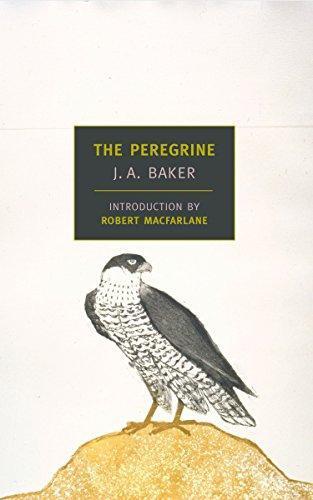 J. A. Baker: The Peregrine (2004)