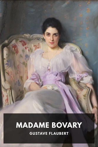 Gustave Flaubert: Madame Bovary (2015, Joe Books Inc.)