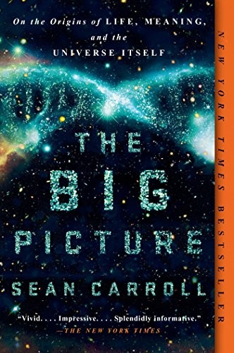 Sean M. Carroll: The Big Picture (Paperback, Dutton)