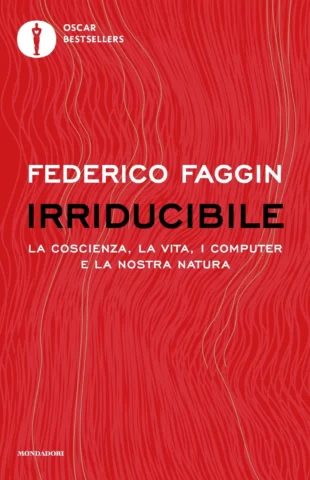 Federico Faggin: Irriducibile (Paperback, Italiano language, Mondadori)