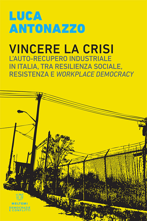 Luca Antonazzo: Vincere la crisi (Paperback, Italiano language, 2019, Meltemi)