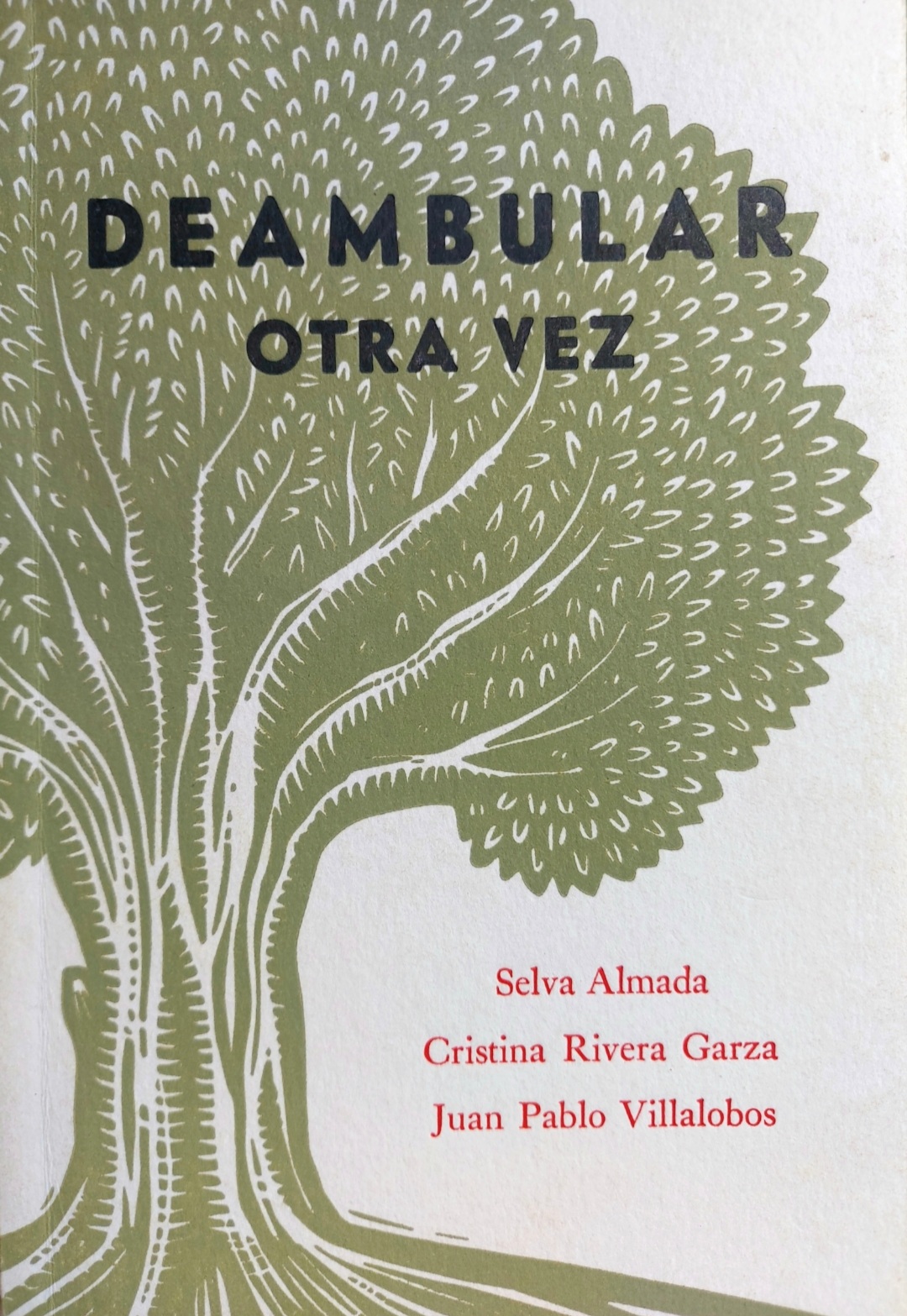 Selva Almada, Juan Pablo Villalobos, Cristina Rivera Garza: Deambular otra vez (Paperback, Español language, Impronta Casa Editora, Almadía Ediciones)