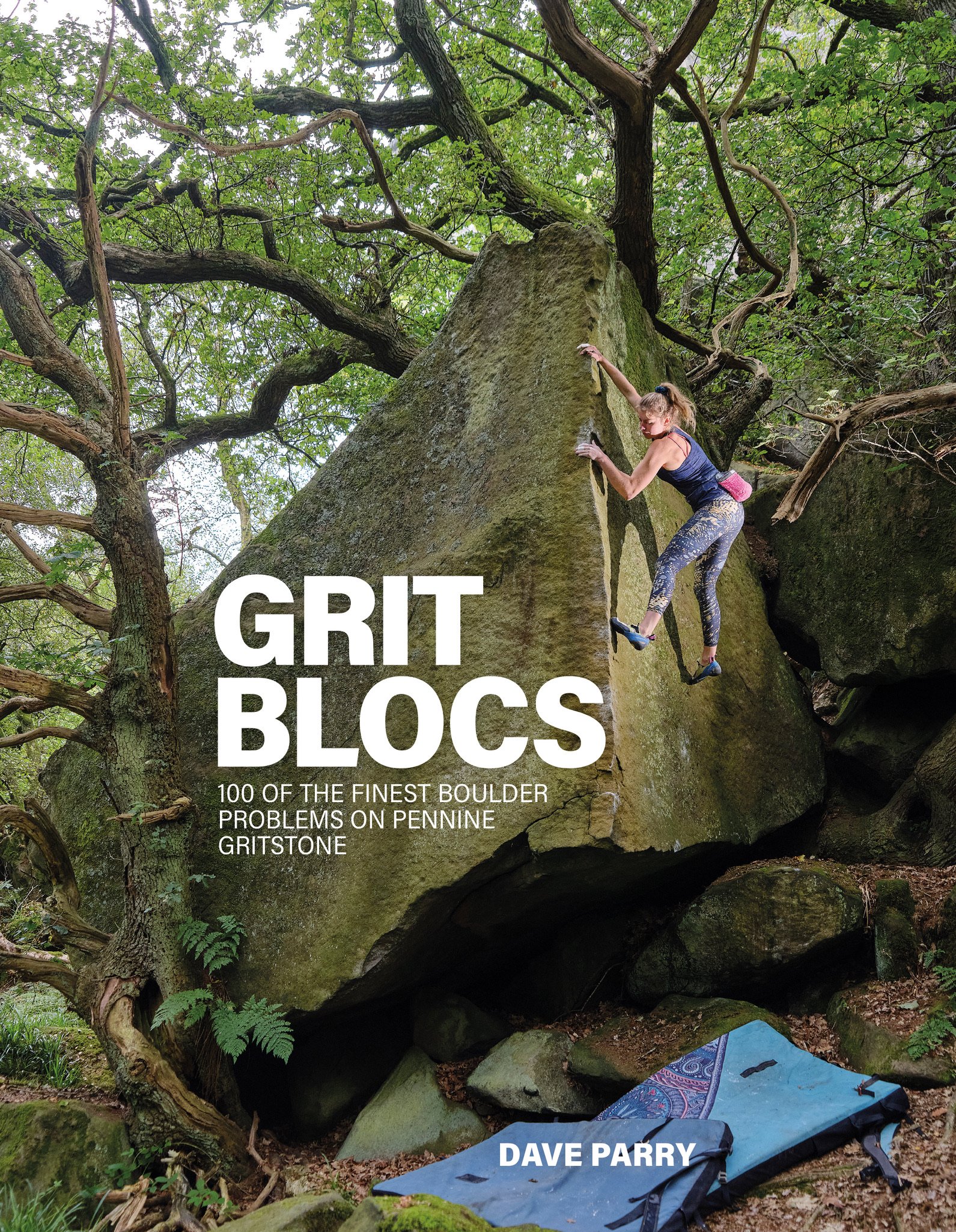 Dave Parry: Grit Blocs (2022, Vertebrate Graphics Limited)