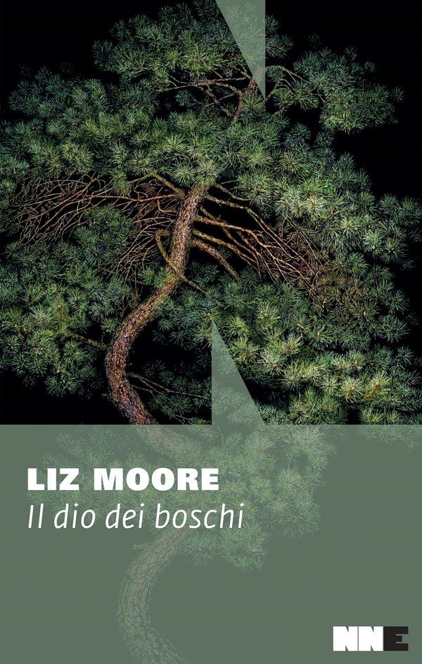 Liz Moore: Il dio dei boschi (Italiano language, NNE)