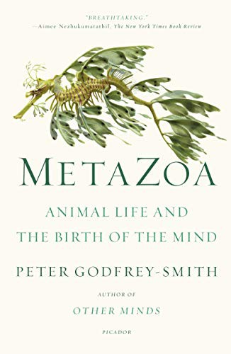 Peter Godfrey-Smith: Metazoa (Paperback, 2021, William Collins)