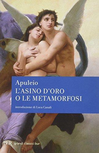 Apuleio: L 'asino d'oro o Le metamofosi, con le xilografie dell'edizione veneziana del 1519 (Italian language, 2001)
