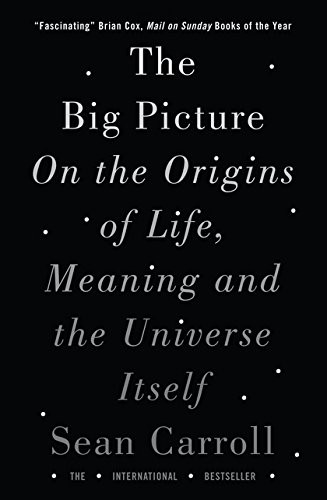 Sean M. Carroll: The Big Picture (Paperback, Oneworld Publications)