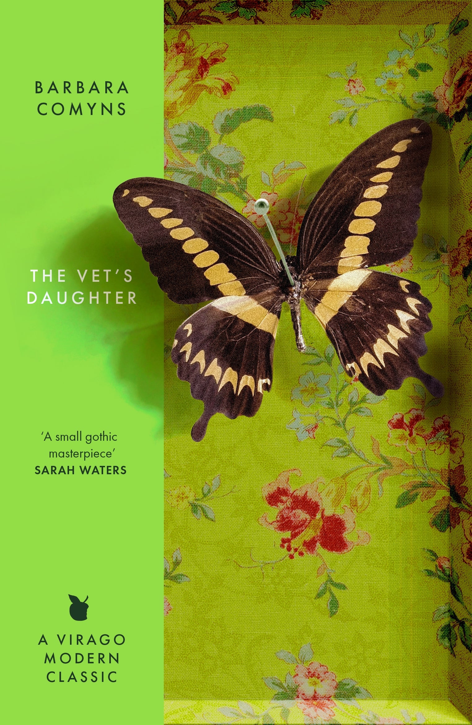 Barbara Comyns: Vet's Daughter (2013, Little, Brown Book Group Limited)